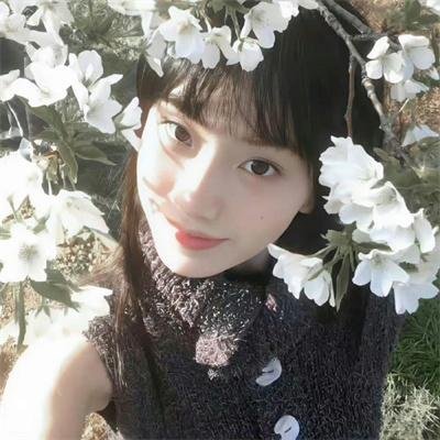 风越今朝入君怀